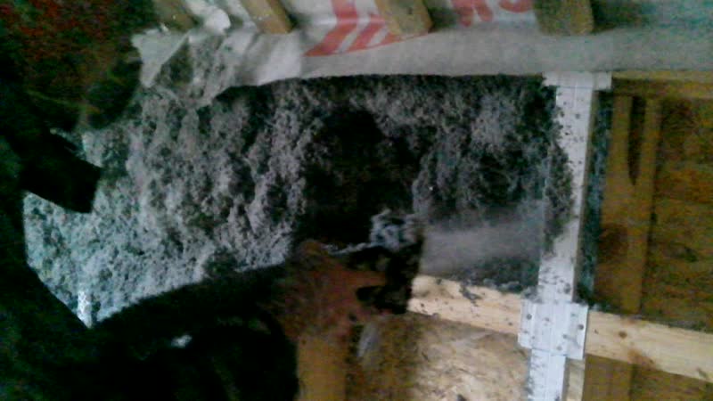 Утепление эковатой