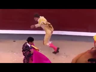 В испании израненный бык разорвал жопу матадор