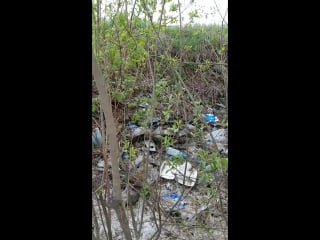 Возле пруда