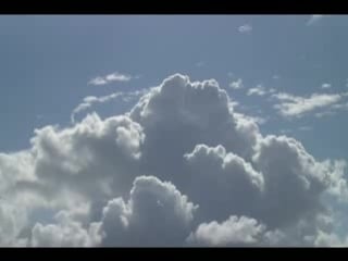 Line of beauty and grace jock sturges