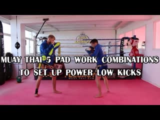 Muay thai 5 pad work combinations to set up power low kicks tutorial