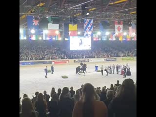 Friesian royal 20200205 223817 0 mp4