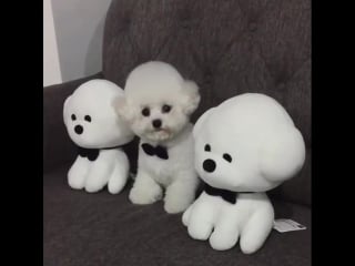 Awww how cute!👧🏼👧🏼👧