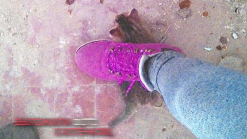 У “хабаровских живодерок” появились подражатели