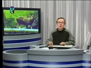 Передача 9 экосистема хвойных и широколиственных лесов