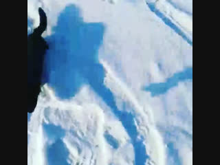 Голодная норка ))) #видосыfishermannizhnevartovsk