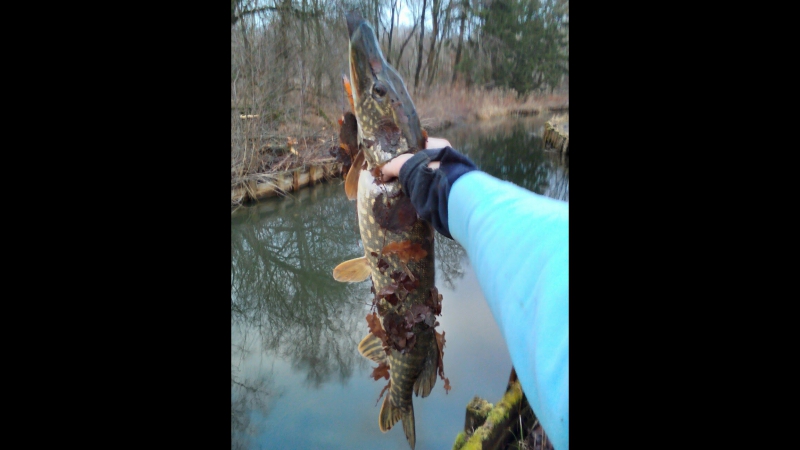 2016 porn video – Königfishing //// открытие сезона 2016