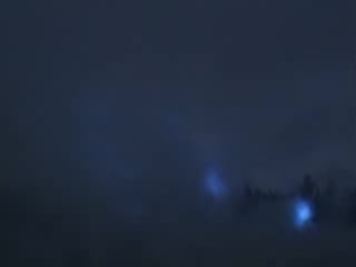 Biosphere – kobresia(live)