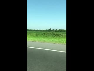 Driving past this crops planted in perfect rows