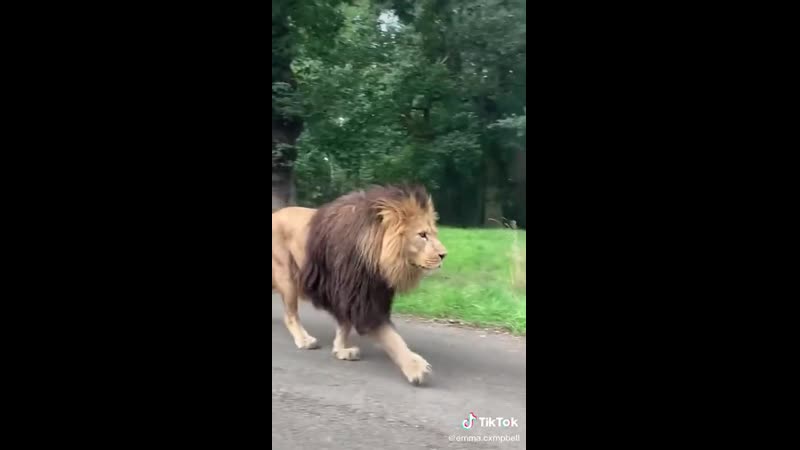 Понаехали тут!