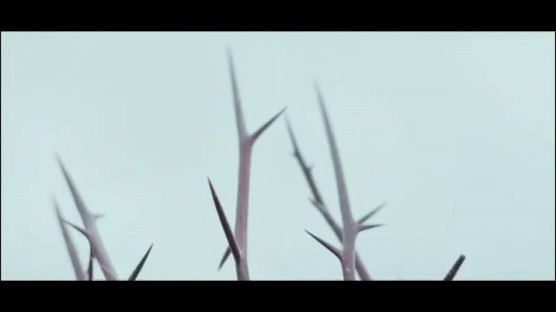 Trend porn video – Sofia for trend priv magazine