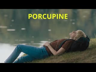 Удочерение одри (2021) adopting audrey (porcupine)