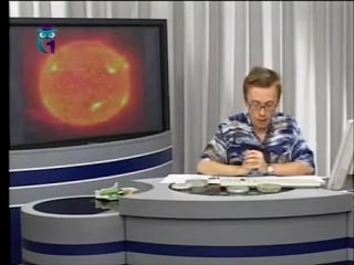 Биоэкология урок 1 экологические факторы