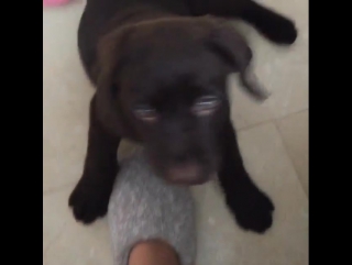 Темникова | temnikova on instagram