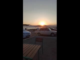 Live барракуда меганом