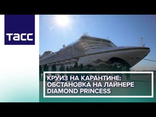 Круиз на карантине обстаноа на лайнере diamond princess