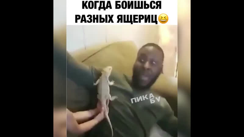Когда боишься ящериц