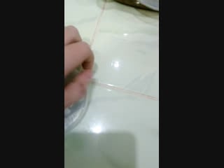 Live krik lol chenel seven