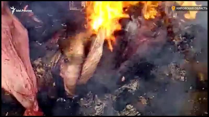 Свалка с останками молодые в кировской области