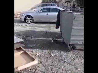 Случай на охоте (vhs video)