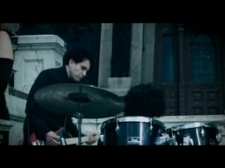 Lame immortelle 5 jahre