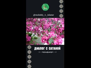 Video kruso 20200826123531189 mp4