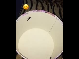 Tiktok kyzdar 20200429 2 mp4