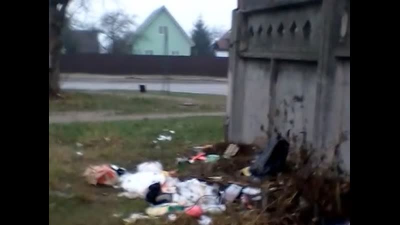 Фавела в старой купавне