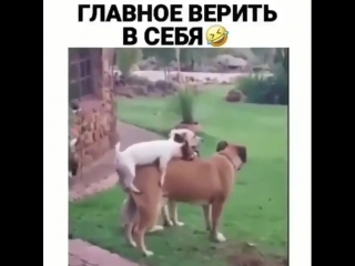 Невозможное возможно