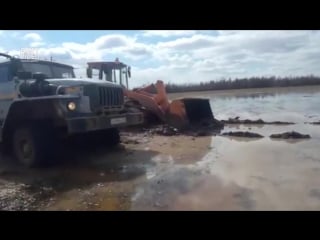 Все как в за репку, детка за бабку