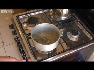 Maggots inside dog balls removed then cooked for food trypophobia