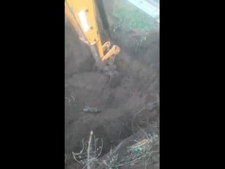 Қырым әйелдерінің порно суреттері Траннилердің ерлердің аузына камминг жасайтын порно видеолары