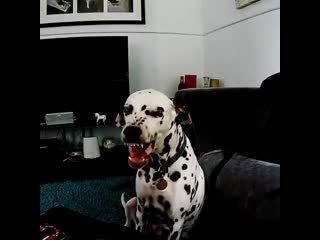 Ira initium insaniae est #360