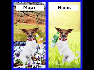 Поделись фактом с fresh bar!