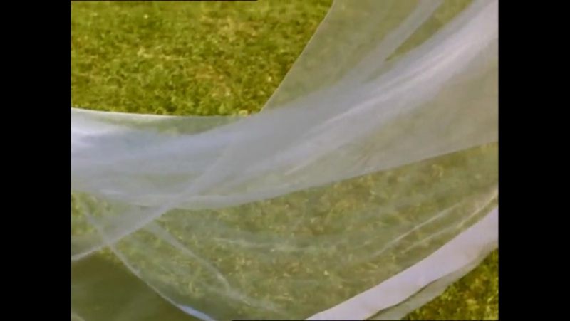 ◄pola x(1999)пола х* каракс