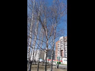 Vid 20190421 134603