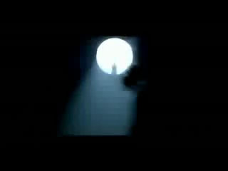 Miley syrus can't be tamed