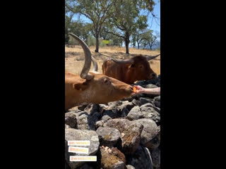 Caitylotz via instagram story (august 6)