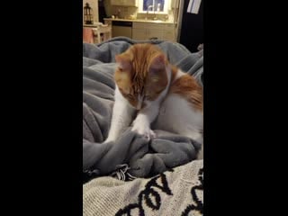 My old man stan is making breakfast biscuits for anyone sorting by new