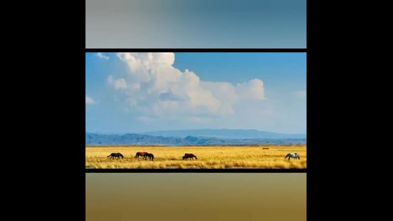 Это, конечно, не дос мұқасан, ну и не ерке есмахан это я азамат🤣 ⠀ @ azabraza1984 ⠀ российский актер, юморист, капитан команды