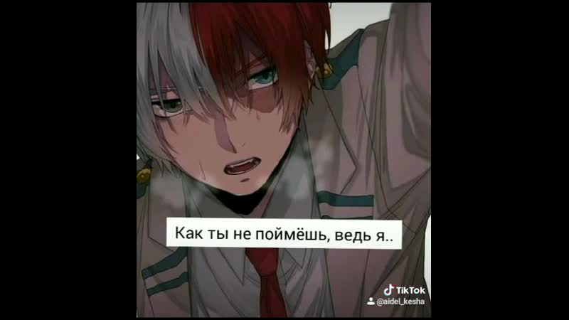 Моя геройская академия,тодороки, бакуго