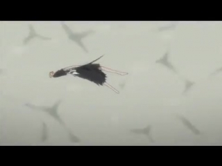 Bleach 270 / блич 270