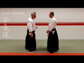 Aikido grab attacks, kogeki, by stefan stenudd, 7 dan aikikai shihan mp4