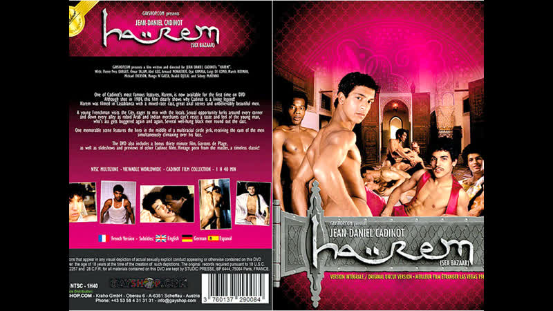 «harem» (1984) ein film von jean daniel cadinot