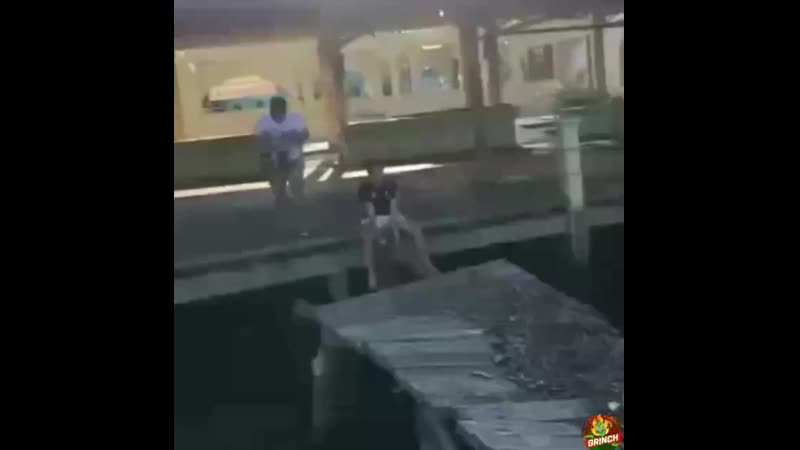 Пивас жалко