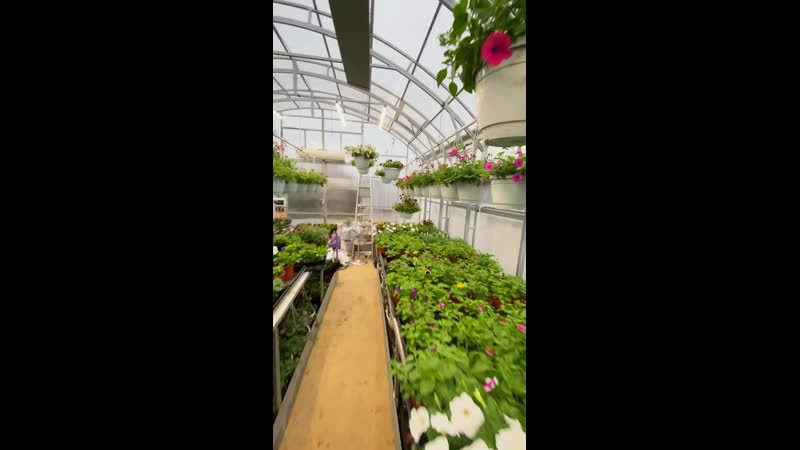 Что нового в теплице?