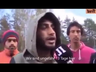Freche und fordernde migranten im fernsehen