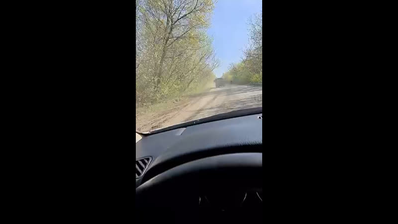 Макееа ясиноватая