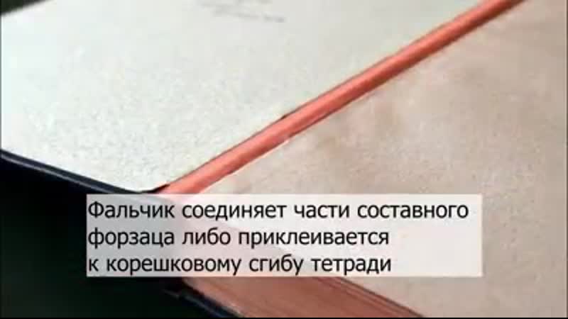 Книжная анатомия фальчик