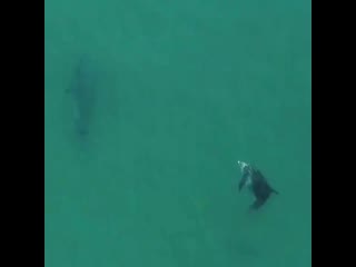 Our life in sochi 20201016 13 mp4